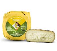Pecorino Barriccato Alle Noci - Caseificio Di Seggiano (Toscana) - Mezza Forma 600 Grammi Circa