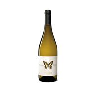 PECORINO Machaon Biologico 2022 - Ausonia