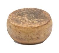 Pecorino Stagionato | forma intera sottovuoto da 3,3 kg | formaggio artigianale | Salumificio Artigianale Gombitelli