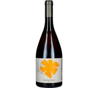 Pecorino Terre d'Abruzzo IGT