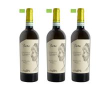 Pectus Vino Falerno Del Massico Bianco (3)