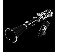 PECY Il clarinetto sintetico a fiato è consigliato per principianti clarinetto strumento a fiato