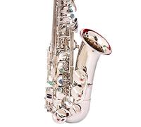 PECY Sassofono Sassofono in Mi Bemolle Contralto Argento Nichelato