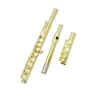PECY Set Di Scatole In Pelle Per Flauto D'oro 16 Strumento Per Flauto C Con Apertura Chiusa Orizzontale Set Per La Pulizia Della Cassetta Delle Chiavi E Flauti