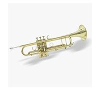 PECY Strumento A Tromba in Si Bemolle Tromba A Tre Toni per Principianti Che Suonano Band per Studenti Adulti Trombe (Color : Gold)