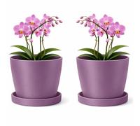 PECZEKO, Vaso da fiori in plastica opaca decorativo per piante grandi e piccole, confezione da 2 con sottovaso, vaso per erbe, viola, Ø 16 cm