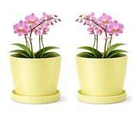 PECZEKO Vaso da fiori in plastica opaca, vaso decorativo per piante grandi e piccole, set da 2 pezzi con sottovaso, vaso da fiori/vaso per erbe aromatiche, limone, ø 18 cm