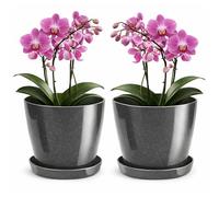 PECZEKO Vaso da fiori lucido in plastica, vaso decorativo per piante grandi e piccole, set da 2 vasi per fiori con sottovaso, vaso per erbe, grafite, ø 16 cm