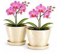 PECZEKO Vaso da fiori lucido in plastica, vaso decorativo per piante grandi e piccole, set da 2 vasi per fiori con sottovaso, vaso per erbe, beige chiaro, Ø 20 cm