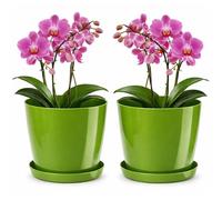 PECZEKO Vaso da fiori lucido in plastica, vaso decorativo per piante grandi e piccole, set da 2 vasi per fiori con sottovaso, vaso per erbe, verde, Ø 18 cm
