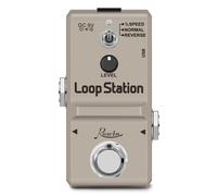 Pedale Guitar Loop - RNCYN - LN-332S - Audio 48K - Inverse Half Time - Overdubs illimitati - Metal Case