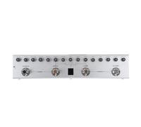 Pedale per Basso Multieffetto con Batteria Ricaricabile, 36 Toni Preimpostati, 9 AMP, 8 IR per L'editing Musicale, Design Portatile