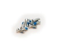 Pedali Sram KIT VISSERIE POUR ETOILE PEDALIER TORX T20 (8) Argenté