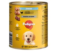 Pedigree Classic 12 x 800 g - Junior Pollame in paté