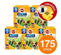 Pedigree Dentastix Daily Fresh Care per Igiene Orale Cane 5 Box + Selfiestix