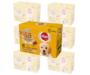 Pedigree DOGCARE - Sacchetto per alimenti per cani, in gelatina Junior, 84 x 100 g