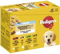 PEDIGREE DOGCARE Wet (Mixed) Chunks in Jelly JUNIOR 100 G Multipack Standard 12 x 100 g