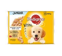 Pedigree Multipack di cibo umido per cani Junior in gelatina, Gusto Pollo Bue e Riso, 13 confezioni x 4 bustine x 100 g
