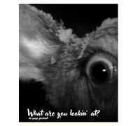 Peek-A-Boo 110 Pg Journal