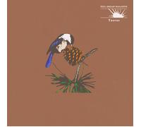 Peel Dream Magazine Taurus (Cassette)