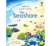 Peep Inside the Seashore – Usborne