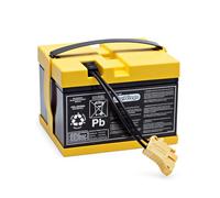 PEG Batteria 24V/8Ah - Ricambio Originale Ricaricabile per Veicoli Elettrici Peg Perego