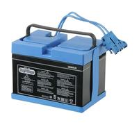 Batteria ricambio per veicoli Peg Perego 12 volt ah KB0036. 2015