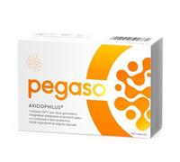 Pegaso AxiDophilus Schwabe Pharma 60 Capsule