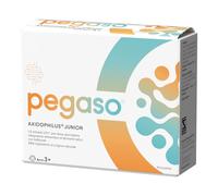 Pegaso axidophilus junior 14 bustine da 1,5 g