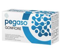 PEGASO GONFIORE 10FL 10ML