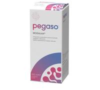 PEGASO MODULAX 150 ML