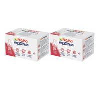 PegaStress® Bustine 2x42 g Polvere per soluzione orale