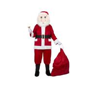 Pegasus Babbo Natale Mascotte Professionale