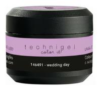 PEGGY SAGE GEL COLOR UV&LED; WEDDING DAY 5GR