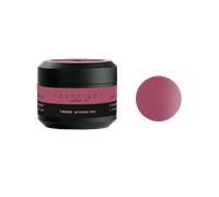 PEGGY SAGE GEL UV&LED COLORATO PER UNGHIE PRINCESS CHIC 5G