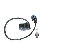 PEGGYLIN Bobina di accensione Adatta for Stihl BT120 BT120C BT121 BT121Z FR250 FR350 FS120 FS120 2-Mix FS120R 2-Mix FS200 FS250 HT250 FS300 FS350 FS380