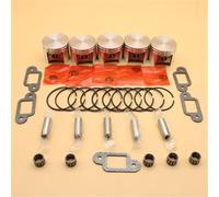 PEGGYLIN Kit guarnizioni marmitta Cuscinetto Anelli pistone 5 Pezzi/Lotto da 42,5 mm Adatto for STIHL MS250 MS 250 025 Parti del Motore della Motosega