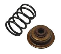 PEGGYLIN Set di guarnizioni for Stelo Molla valvola di aspirazione Adatto for decespugliatore a 4 Tempi GX25 GX25N HHT25S, tagliaerba, Motore di Piccola cilindrata