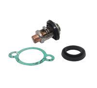 PEGGYLIN Sistema di raffreddamento del gruppo motore fuoribordo con termostato da 50℃ a 125℉, adatto for motori fuoribordo da 4, 5, 6, 8, 9,9, 15, 55, 75 e 100 CV