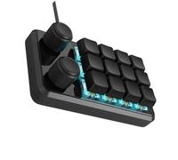 PEILINZE Tastiera da gioco a 12 tasti, tastiere meccaniche programmabili da gioco a 12 tasti con due manopole e cavo di illuminazione RGB tipo C
