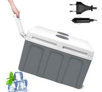 PEILU Mini frigorifero da 48 litri per auto e moto, con funzione di raffreddamento e mantenimento del calore, alimentatore da 240 V e connettore accendisigari da 12 V per campeggio, feste e viaggi