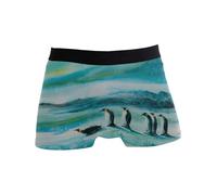 peiyeety Boxer Intimo da Uomo Pinguini nel Deserto di Ghiaccio Aurora
