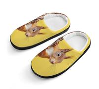 peiyeety Carino scoiattolo rosso che fa capolino dall'albero, graziose pantofole di cotone, pantofole antiscivolo per interni ed esterni.