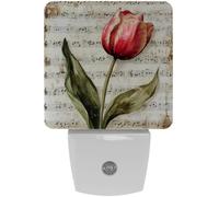 peiyeety Luce notturna a LED con note musicali a ano vintage, sensore automatico, dal tramonto all'alba, decorativa per camera da letto, bagno, cucina, corridoio, scale, corridoio,