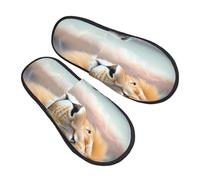 peiyeety Pantofole con stampa Il gatto si guarda allo specchio per donna, con suola morbida, per interni ed esterni