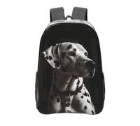 peiyeety Zaino trasparente dalmata, resistente, in PVC, per concerti, lavoro e viaggi