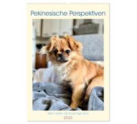 Pekinesische Perspektiven - Mein Leben als flauschige Diva (Wandkalender 2026 DIN A2 hoch), CALVENDO Monatskalender: Charmante Motiven eines Pekinesen