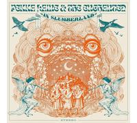 Pekka Laine & The Enchanted In Slumberland (Vinyl LP) 12" Album