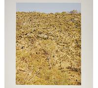 Pekler,Andrew & Ielasi,Giuseppe - Palimpsests