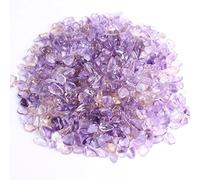 PEKMAR 30/50/100 g di ametista naturale ghiaia pietra di quarzo lucido chip di cristallo burattato pietra semi-preziosa Reiki bellissimo cristallo (colore: ametista 50 g)